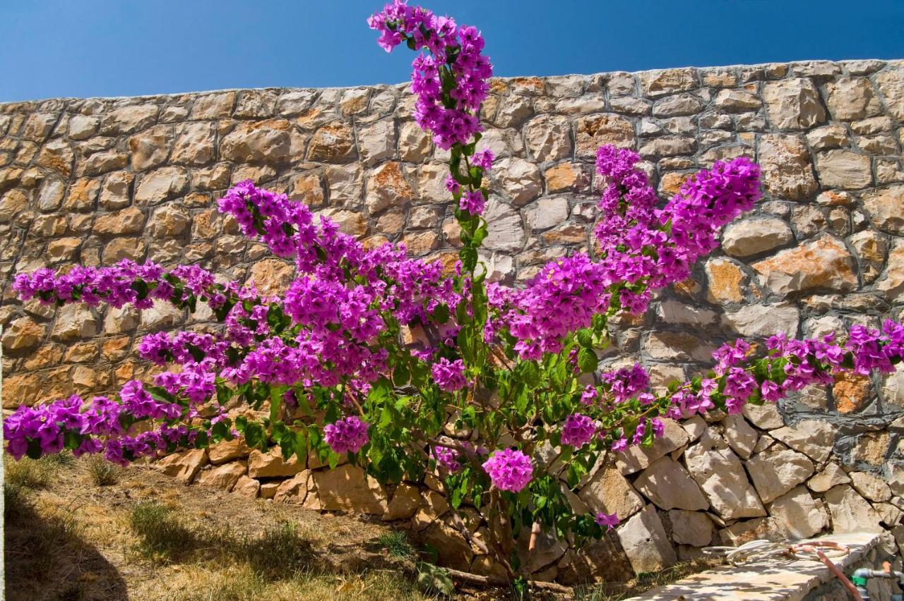 Holiday Home Duje تروغير المظهر الخارجي الصورة