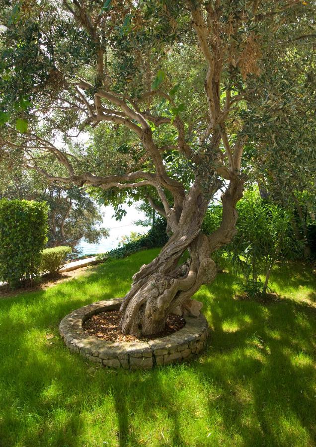 Holiday Home Duje تروغير المظهر الخارجي الصورة