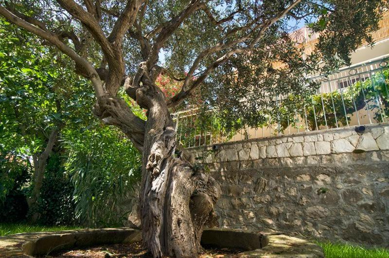 Holiday Home Duje تروغير المظهر الخارجي الصورة
