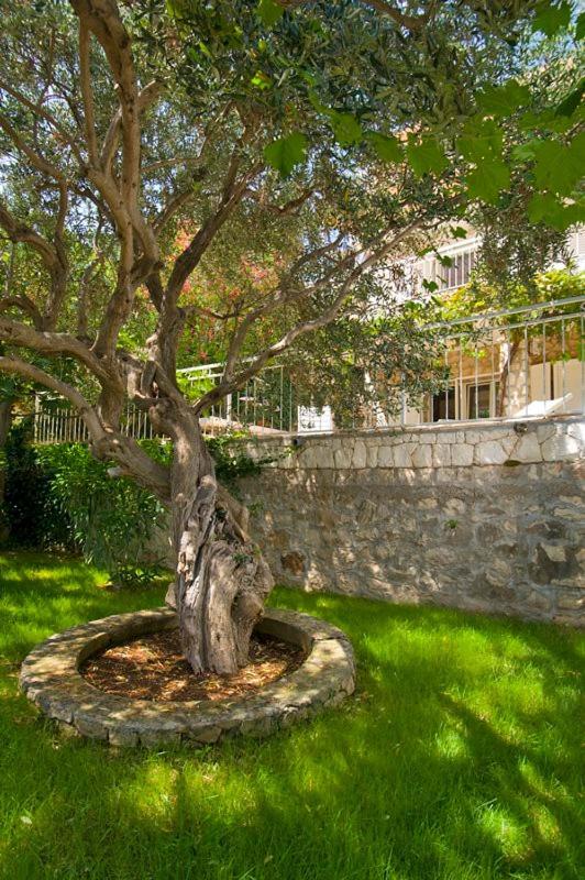 Holiday Home Duje تروغير المظهر الخارجي الصورة